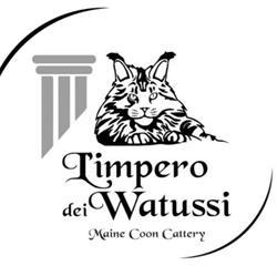 Only Maine - L'Impero dei Watussi - Maine Coon cattery, Trezzano sul Naviglio orari di apertura