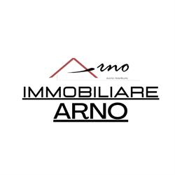 Agenzia Immobiliare Arno, Pisa orari di apertura