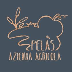 Azienda agricola "Pelas", Venzone orari di apertura