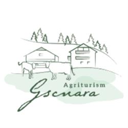 Agriturismo Gscnara, San Martino in Badia orari di apertura