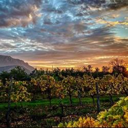 Tenuta Palaios, Palomonte orari di apertura