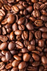Coffee House, Bracciano orari di apertura