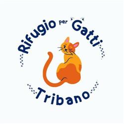 Rifugio per gatti Tribano, orari di apertura