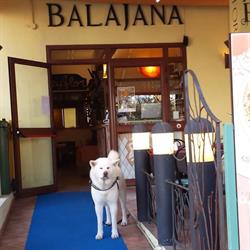 Pizzeria Balajana, Santa Teresa Gallura orari di apertura