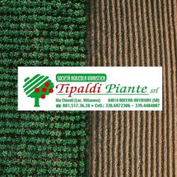 Società Agricola Vivaistica Tipaldi Piante Srl, Nocera Inferiore orari di apertura