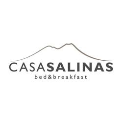 Casa Salinas, Napoli orari di apertura