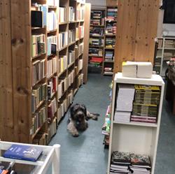 Usatopoli libri usati e rari, Brugherio orari di apertura