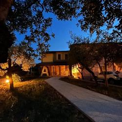 A Casa di Asja, Terni orari di apertura
