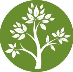 CARTESIO Centro Medico & Fisioterapico, Roma orari di apertura