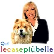 Quilecasepiùbelle, Torino orari di apertura