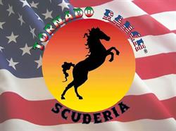 Tornado Ranch Scuderia, Santarcangelo di Romagna orari di apertura