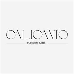Calicanto Flowers & Co., Sesto Calende orari di apertura