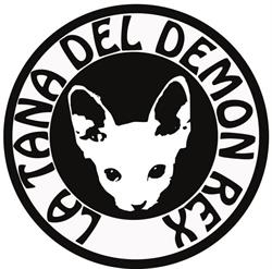 La Tana del Demon Rex, Roma orari di apertura