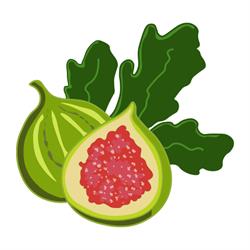 Damianodryfruit, Taurisano orari di apertura