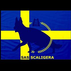 Sas Scaligera, Oppeano orari di apertura