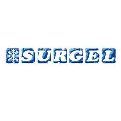 Surgel S.A.S. Di Scurzoni Ivan & C., Follonica orari di apertura