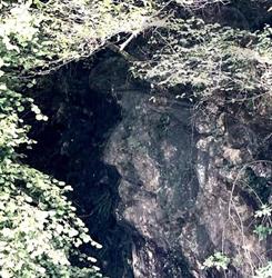 Il Bosco del Gigante - percorso naturalistico, Castelcucco orari di apertura