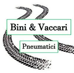 Bini & Vaccari Pneumatici S.A.S di Vaccari Daniele & C., San Polo d'Enza orari di apertura