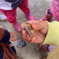 Nido d'infanzia Il Canguro, Uliveto Terme orari di apertura