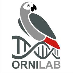 Ornilab, Sora orari di apertura