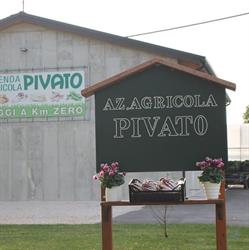 Azienda agricola Pivato, Riese Pio X orari di apertura