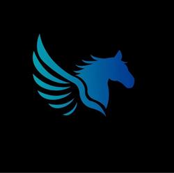 Centro Ippico Pegasos, Torbole Casaglia orari di apertura