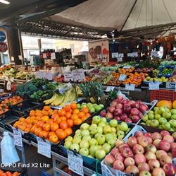 Frutteria di Simone Pagliarini, Civitavecchia orari di apertura