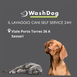 Wash Dog, Sassari orari di apertura