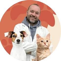Dott. Ferrari Adriano - Nutrizionista per Cani e gatti, Bussolengo orari di apertura
