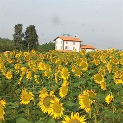 La collinetta B&B, Valsamoggia orari di apertura