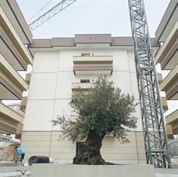 Residenza L’Ulivo, Muggiò orari di apertura