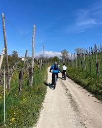 Peekaboo Rent E-Bike / Noleggio E-Bike, Tarzo orari di apertura