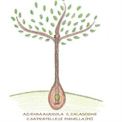 Az. Agricola "Il Calascione", Pianella orari di apertura