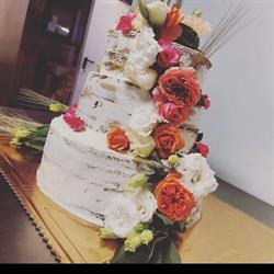 Pasticceria Graziana, Gambettola orari di apertura