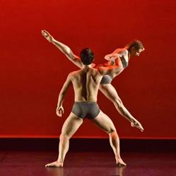 Emozione in Movimento, Quarto orari di apertura