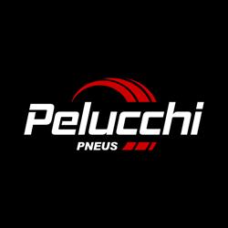 Pelucchi Pneus - Gommista a Montichiari, orari di apertura