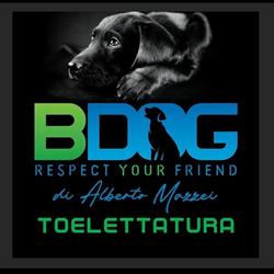 Bdog Toelettatura, San Cesario di Lecce orari di apertura
