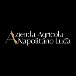 Azienda Agricola NAPOLITANO LUCA, Apricena orari di apertura