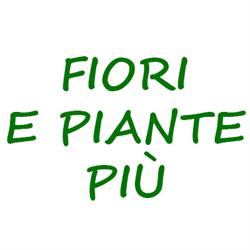 Fiori e Piante Più, Cesa orari di apertura