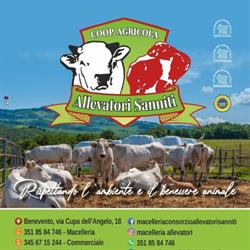 Macelleria - Allevatori Sanniti - SOCIETÀ cooperativa Agricola - Dal produttore al Consumatore, Benevento orari di apertura