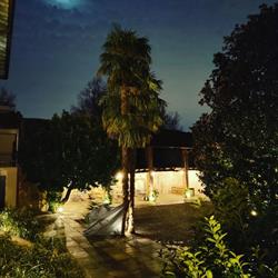 Arabella - cucina comasca contemporanea, Villa Guardia orari di apertura