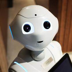 Digimaex, Pavia orari di apertura