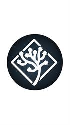 Treesport - Breathe your life, Trieste orari di apertura