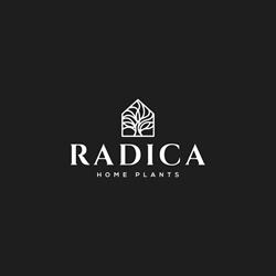 Radica Home Plants, Gonzaga orari di apertura