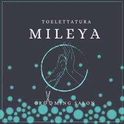 Toelettatura Mileya, Prata di Pordenone orari di apertura