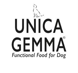 UNICA GEMMA, Ostiglia orari di apertura