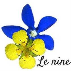 Erboristeria/Centro Olistico Le Nine, Erto e Casso orari di apertura