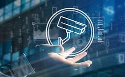 Elettrosecurity S.r.l., San Pietro Vernotico orari di apertura