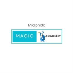 Magic Academy, Lentini orari di apertura