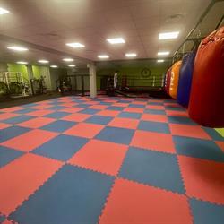 Ultimate Arena Fight & Fit, Moncalieri orari di apertura